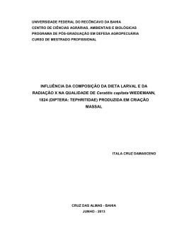 Dissertao - Itala Damasceno(1) Copy