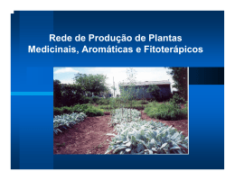 Produção de Plantas Medicinais, Aromáticas e Fitoterápicos