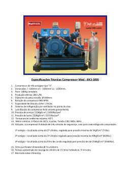 Especificações Técnicas Compressor Mod.: BK3-300S