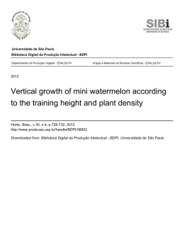 Vertical growth of mini watermelon according to the training height