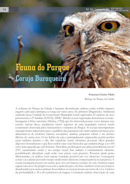 Fauna do Parque - Coruja Buraqueira