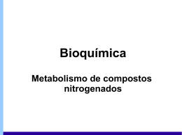 Metabolismo de compostos nitrogenados