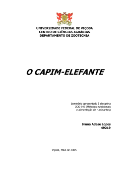 O CAPIM-ELEFANTE - Portal Atividade Rural