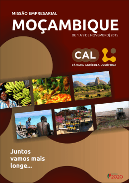 Missao Mocambique_Programa