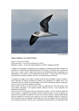 Foto: René Pop Viagem à Madeira, com a Birds & Nature Data: 9 a