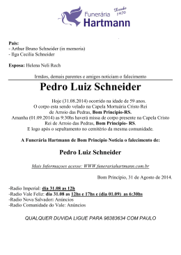 Pedro Luiz Schneider