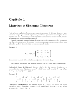 Cap´ıtulo 1 Matrizes e Sistemas Lineares