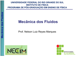 Mecânica dos Fluidos - Prof. Nelson Luiz Reyes Marques