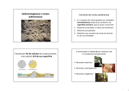Sedimentogénese e rochas sedimentares