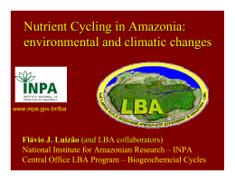 Nutrient Cycling in Amazonia: environmental and - Amazon-PIRE