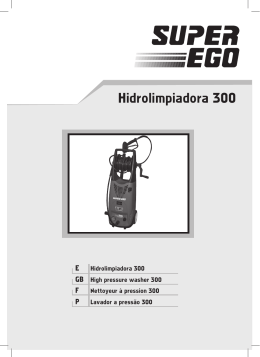 Hidrolimpiadora 300