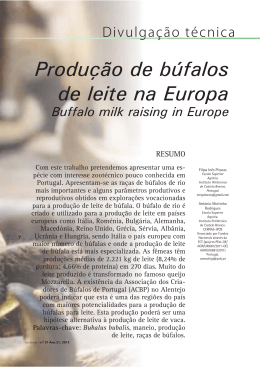 Produção de búfalos de leite na Europa Buffalo milk raising in