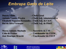 Embrapa Gado de Leite - Pesagro-Rio