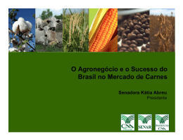 O Agronegócio e o Sucesso do Brasil no Mercado de