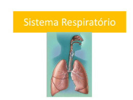 Sistema Respiratório - portefolionaturas.net
