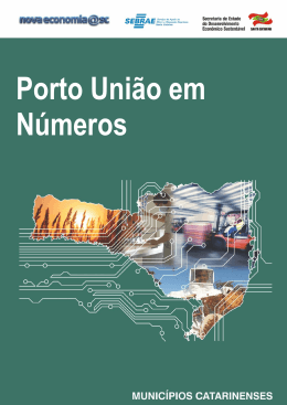 Porto União em Números