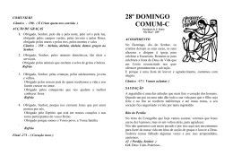 28º DOMINGO COMUM-C