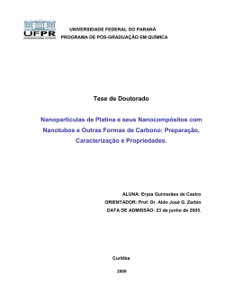Tese_EryzaGCastro - DSpace - Universidade Federal do Paraná