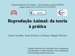 Reprodução Animal: da teoria à práctica