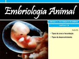 30. Embriologia Slides da aula