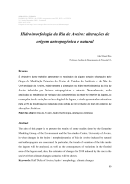 Hidro/morfologia da Ria de Aveiro: alterações de origem