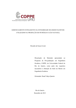 Ricardo Cavati_Dissertação Mestrado_Jan-13 - UFRJ-Coppe-Peno