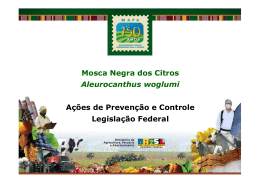 Mosca Negra dos Citros - Ministério da Agricultura