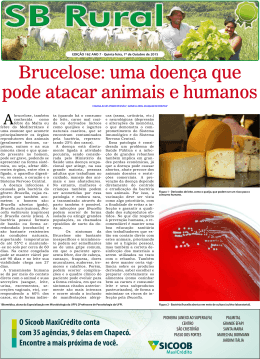 Brucelose: uma doença que pode atacar animais e humanos