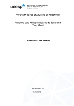 Protocolo para Micropropagação de Bananeira `Thap Maeo`
