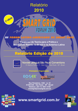 Relatório 2010 - Fórum Latino Americano de Smart Grid