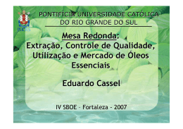 Prof. Dr Eduardo Cassel - IV Simpósio Brasileiro de Óleos Essenciais