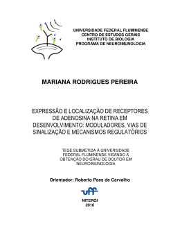 mariana rodrigues pereira - Universidade Federal Fluminense