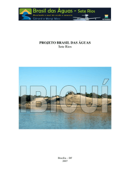 Relatório final do sobre o Rio Ibicuí (PDF – 6 MB)