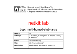 Netkit lab - Large multi homed stub