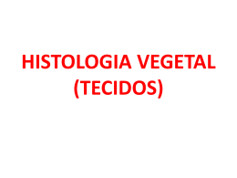 HISTOLOGIA VEGETAL (TECIDOS)