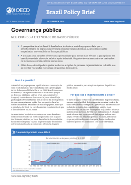 Brazil Policy Brief: Governança pública