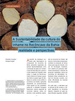 A Sustentabilidade da cultura do inhame no Recôncavo da Bahia