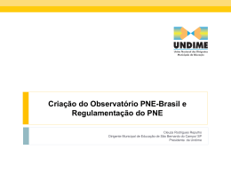 Criação do Observatório PNE-Brasil e Regulamentação