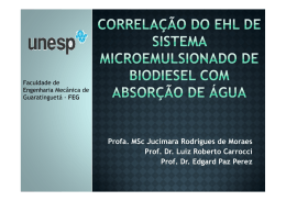 Profa. MSc Jucimara Rodrigues de Moraes Prof. Dr. Luiz