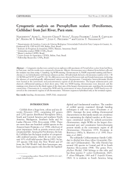 Cytogenetic analysis on Pterophyllum scalare (Perciformes
