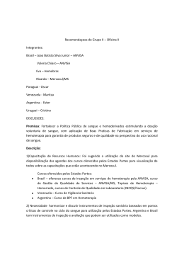 Recomendaçoes do Grupo II – Oficina II Integrantes: Brasil