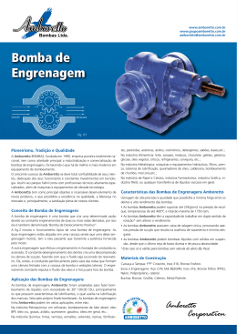 Bomba de Engrenagem - Amboretto Bombas Ltda.