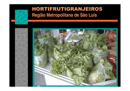 HORTIFRUTIGRANJEIROS Região Metropolitana de São Luís