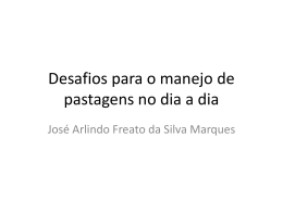 José Arlindo Freato da Silva Marques