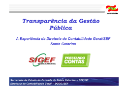 Apresentação GTSIS-STN - Portal da transparência