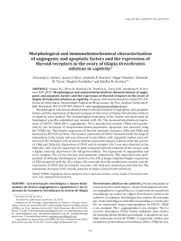 Morphological and immunohistochemical characterization of