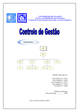 Controlo de Gestão - Universidade do Algarve