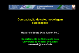 Modelagem e Aplicação - Moacir de Souza Dias Jr. / UFLA