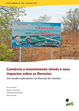Comércio e investimento chinês e seus impactos sobre as florestas