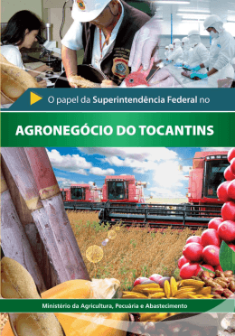 Agronegócio do Tocantis - Ministério da Agricultura